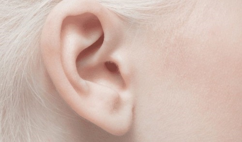 康奈尔大学通过 3D 打印耳朵彻底改变了现实的耳移植物